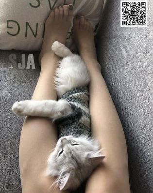韩国伦理片按摩房的女大学生剧照_HD全集免费观看