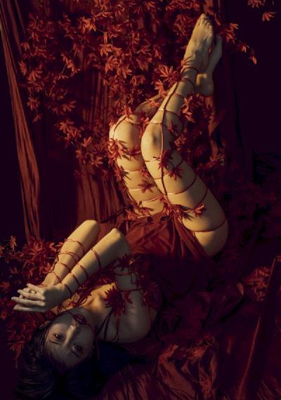 熟女激情视频_高清高清免费观看